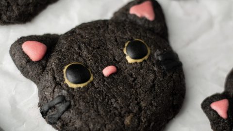 Cookie cat clearance toy