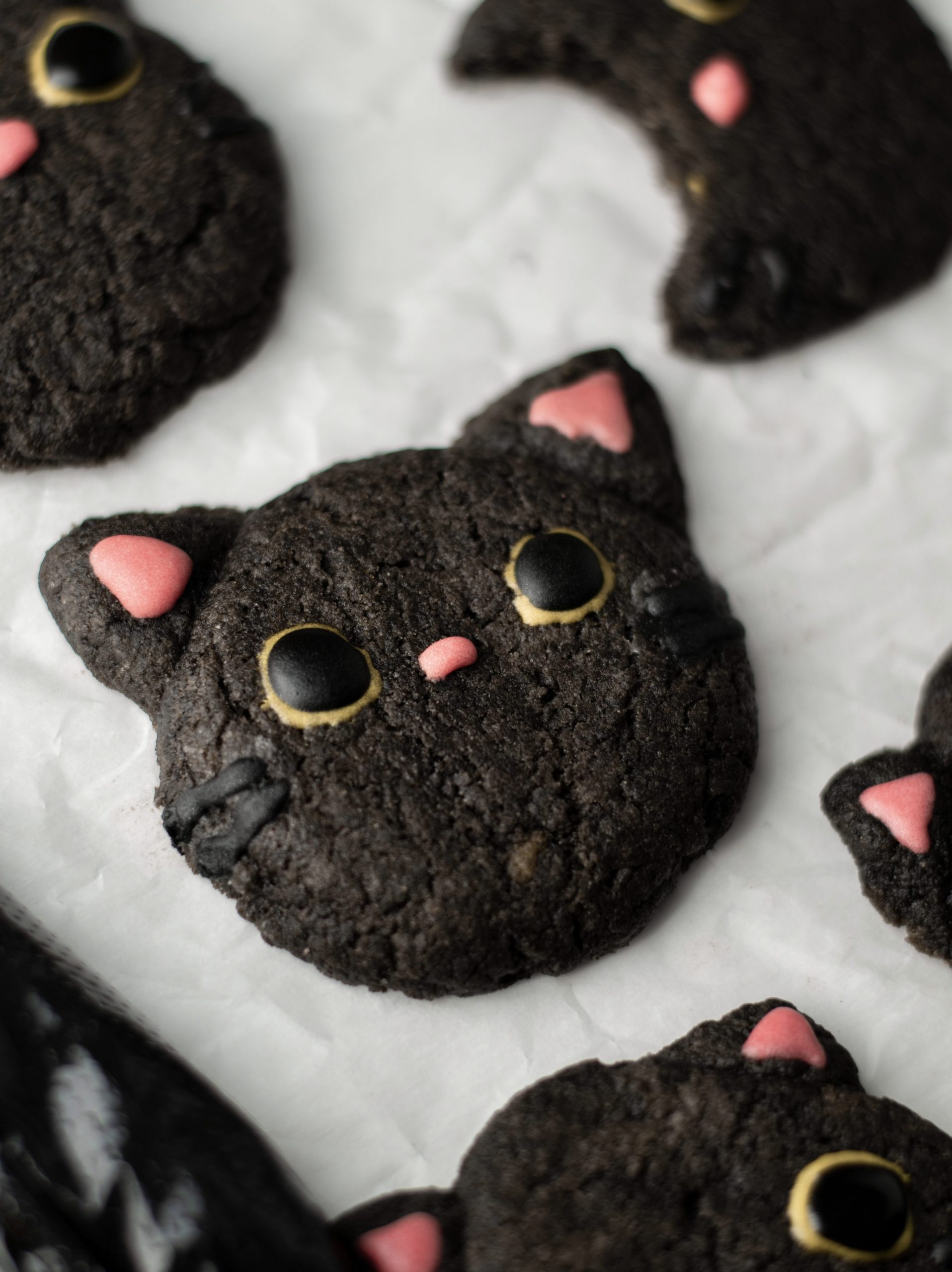 Cat-Shaped Black Cocoa Cookies (Vegan)