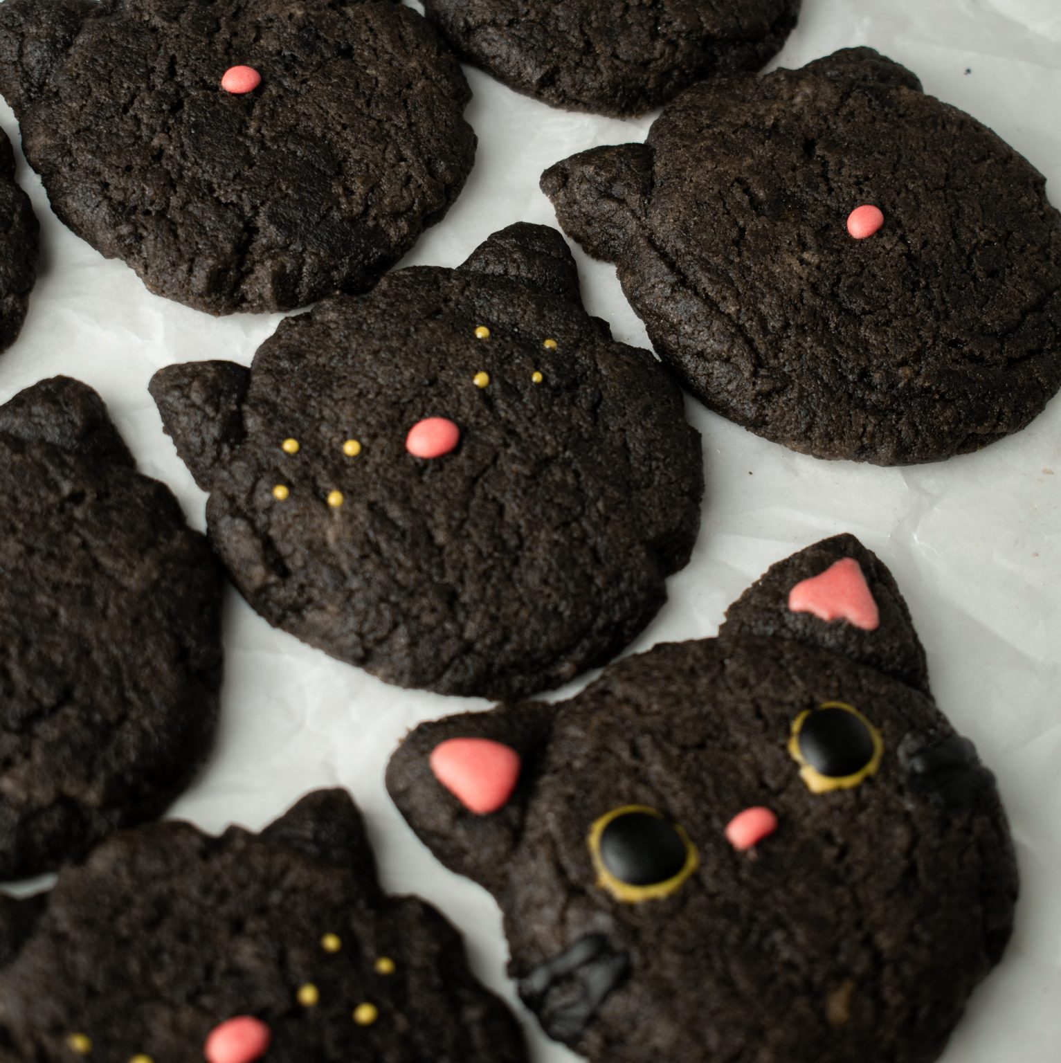 Cat Black Cocoa Cookies (Vegan)