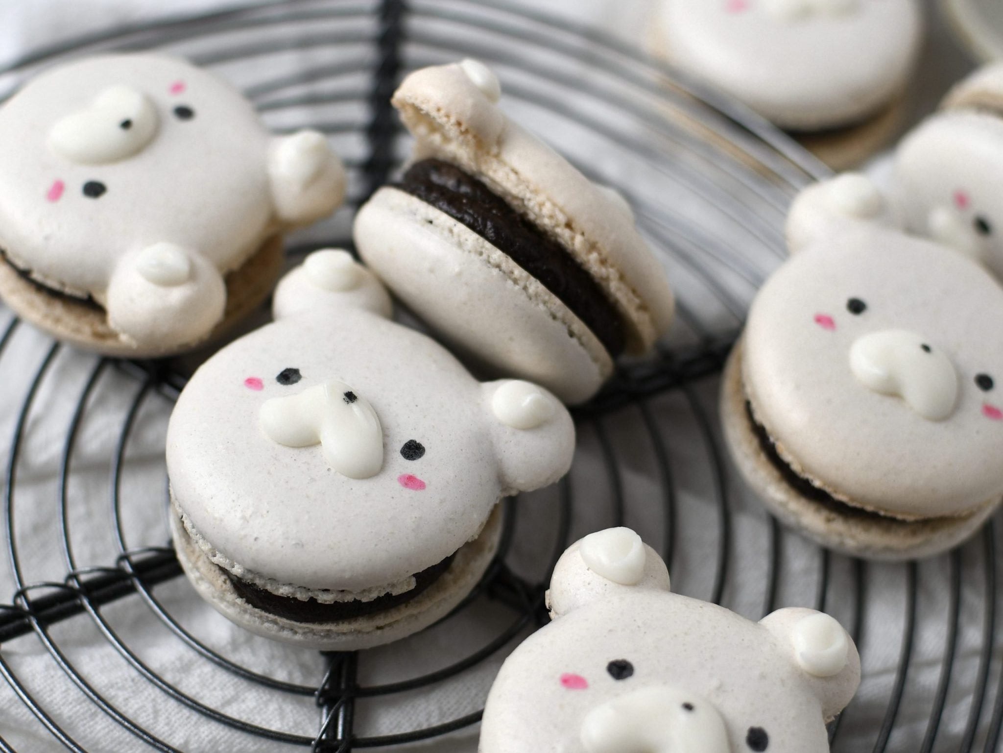 Angled view of white polar bear macarons with oreo cheesecake filling on a circle wire rack 