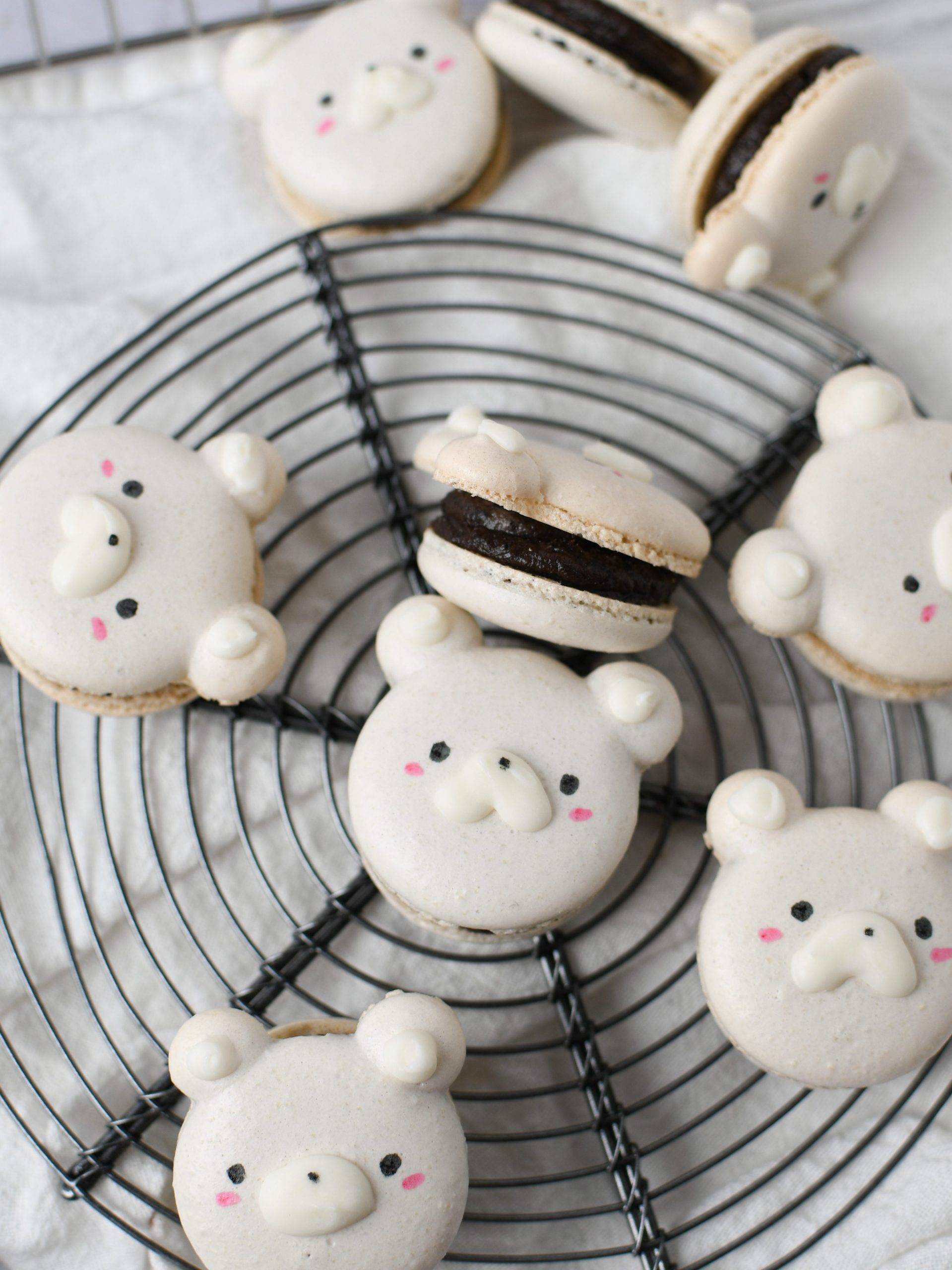 Flat lay of white polar bear macarons with oreo cheesecake filling on a circle wire rack 