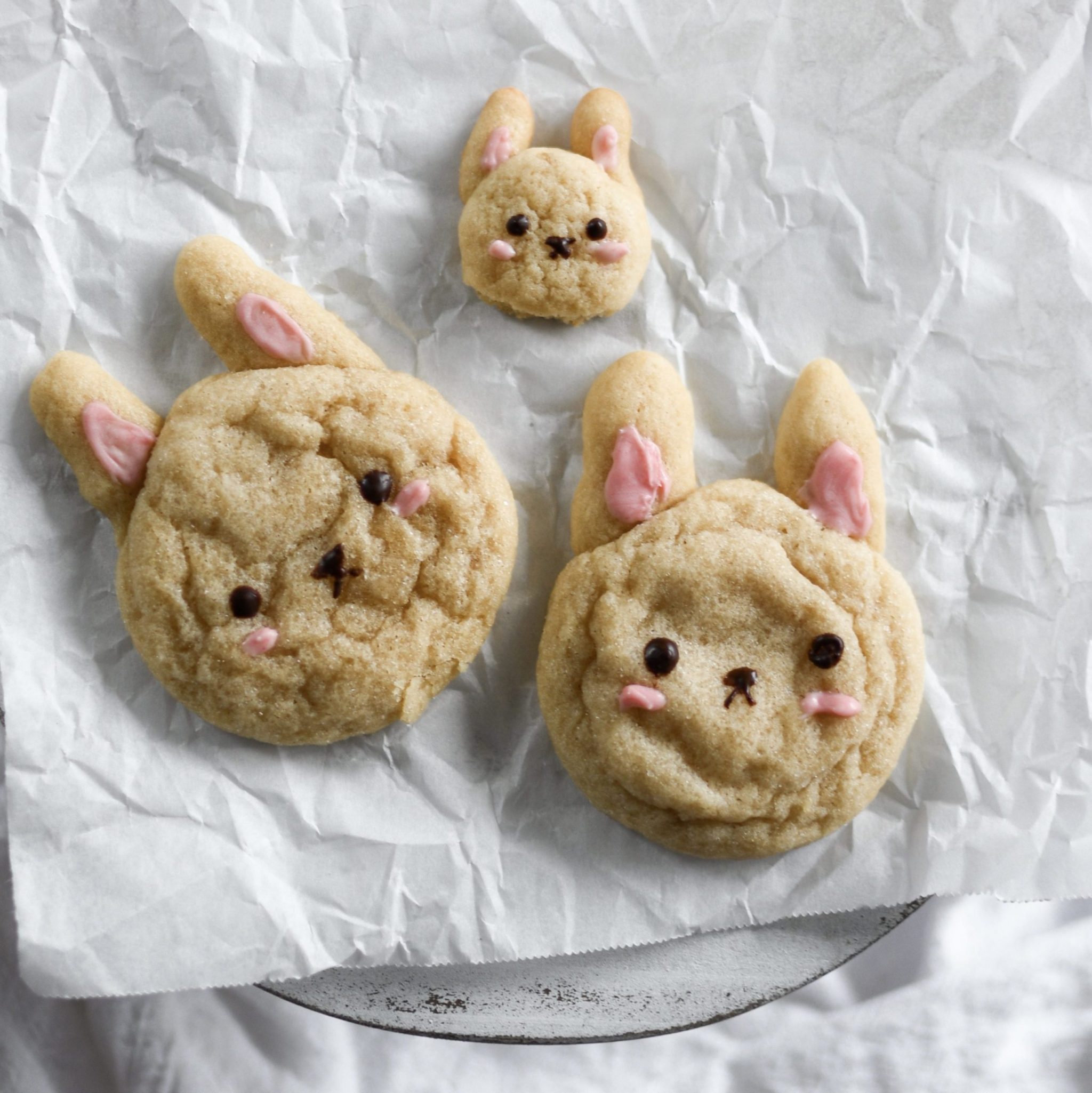 Easy Bunny Sugar Cookies