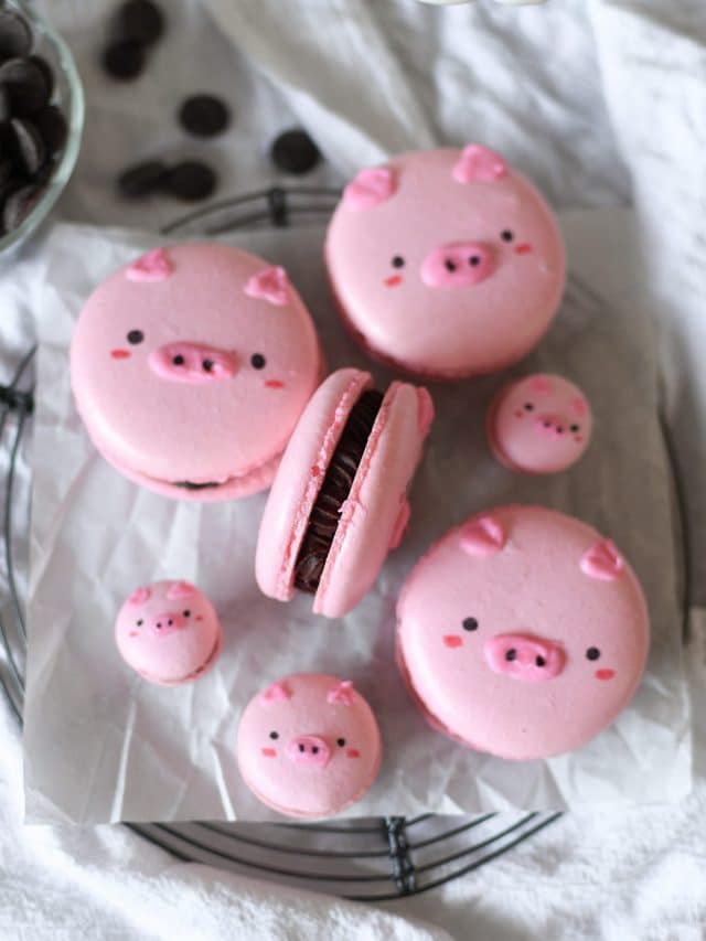 Pig Macarons with Chocolate Ganache