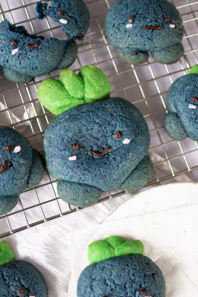 Huge oddish cookie on a wire rack