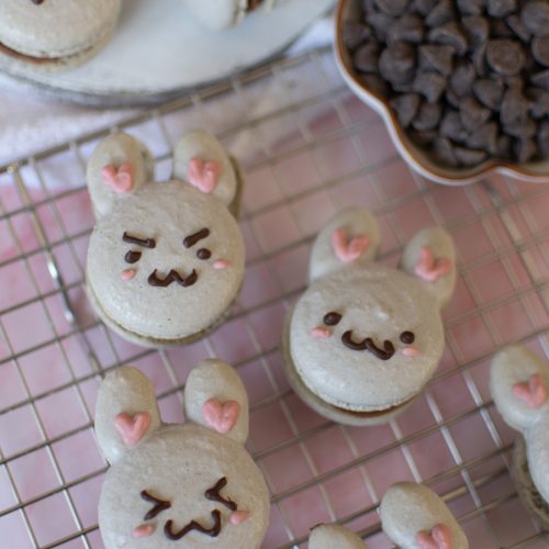  Dainty Dessert Bunny Macaronうさぎ DAINTY DESSERT BUNNY PLUSH | The Toy Insider