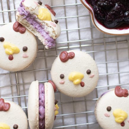 Farm animal macarons with blueberry cheesecake filling