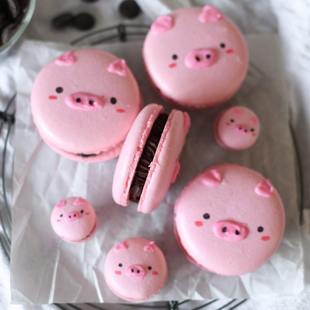 5 large chocolate pig macarons ft 3 tiny baby pig macarons!