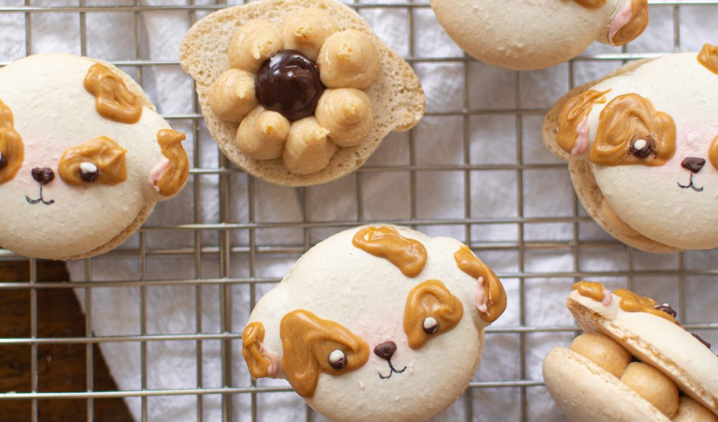 Peanut butter cheesecake dog macarons on wire rack