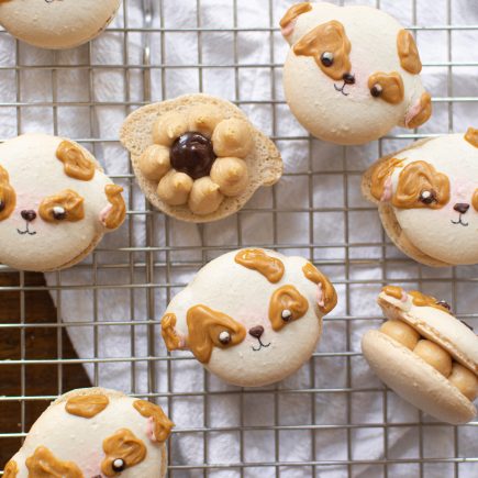 Peanut butter cheesecake dog macarons on wire rack