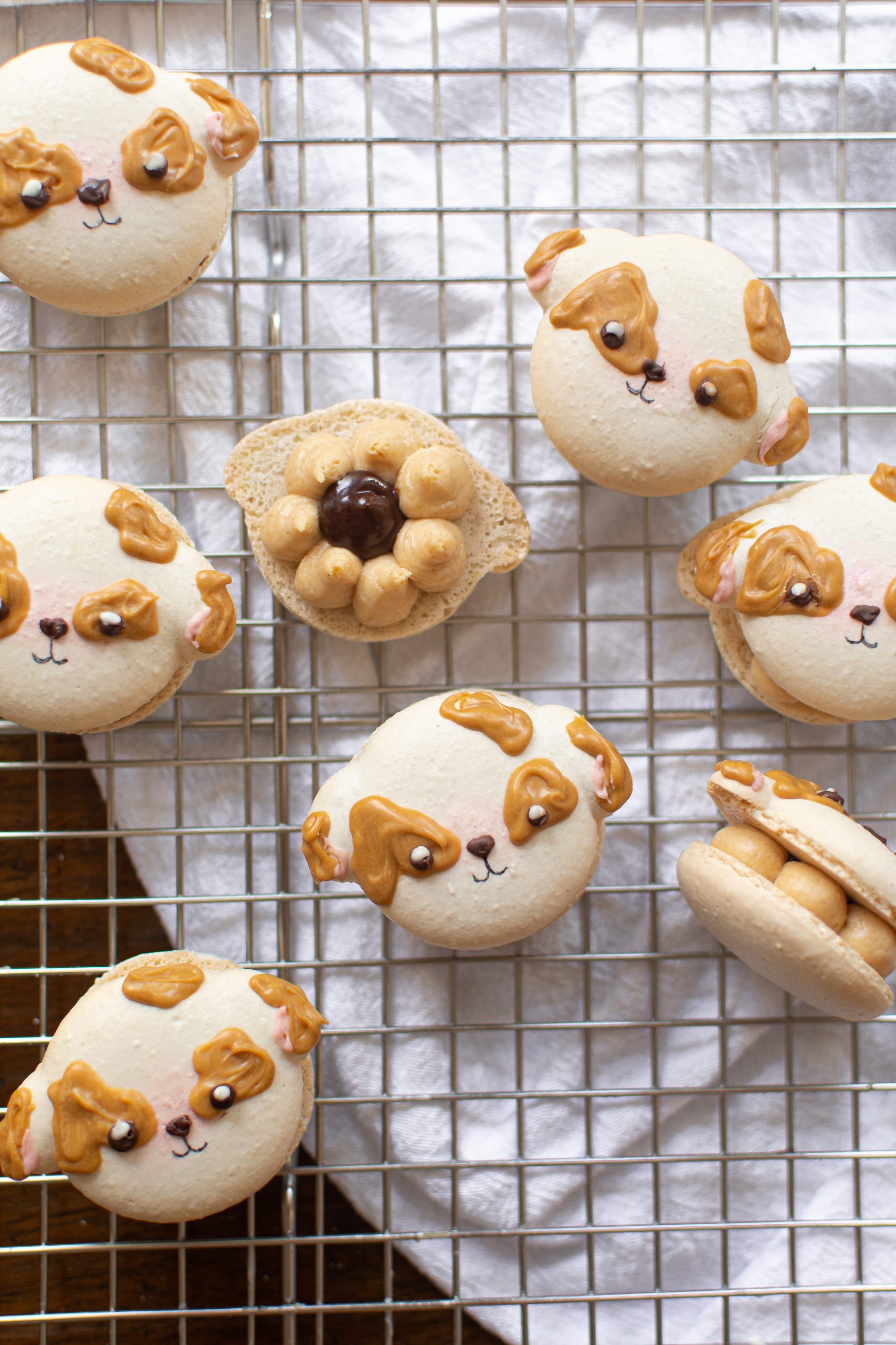 Dog Macarons with Peanut Butter Chocolate Filling (French Method)