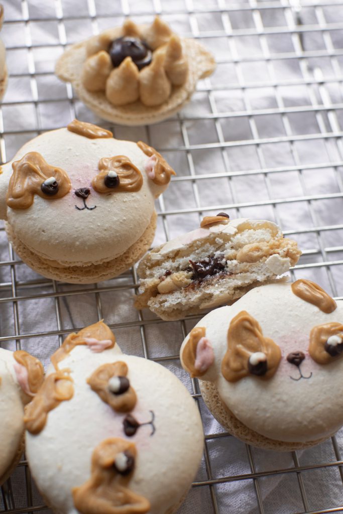 Chocolate peanut butter macarons on wire rack, showing cross section of one macaron