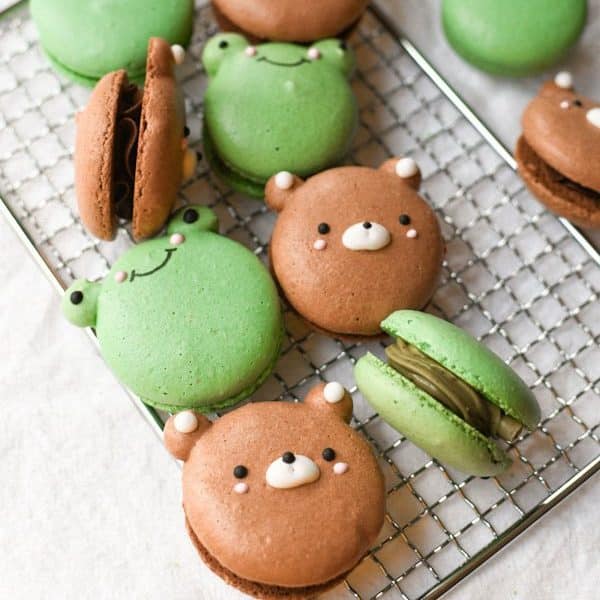 Frog Bear Macarons