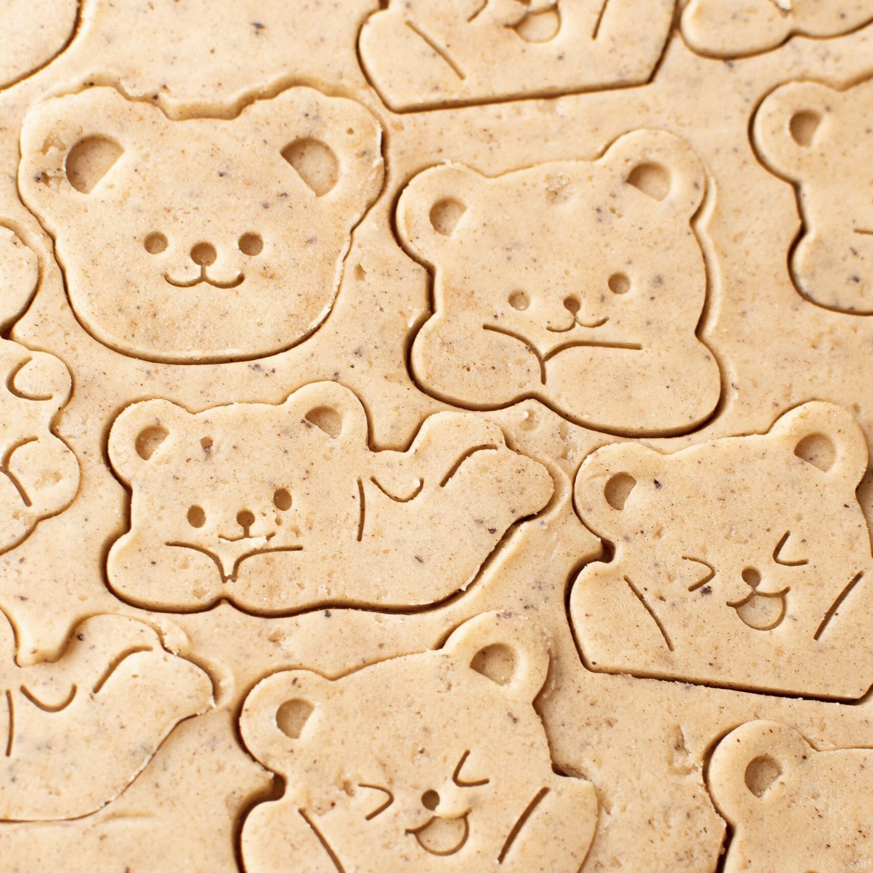 Shortbread bear cookie dough