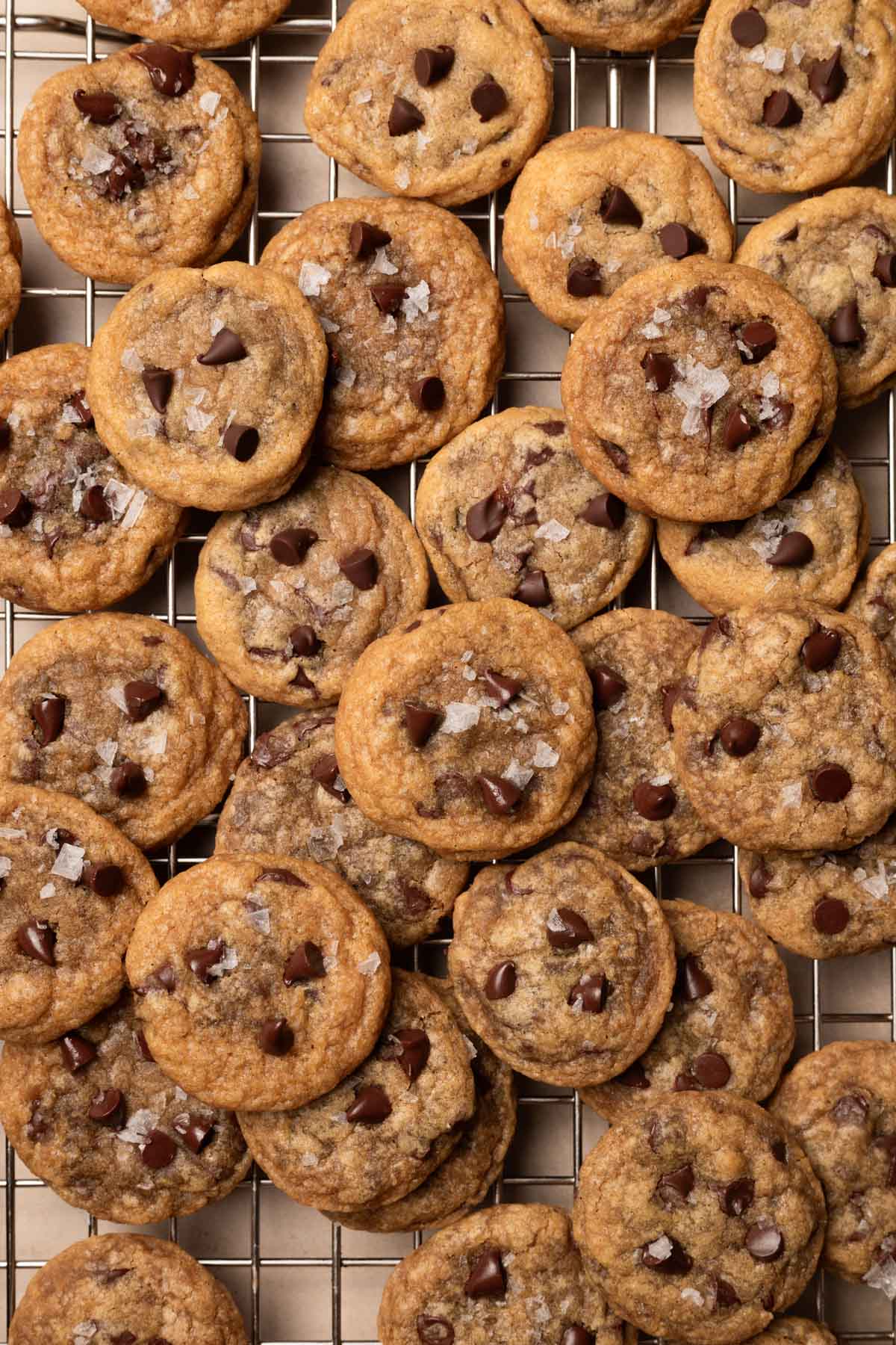 mini chocolate chip cookie bites on a wire rack