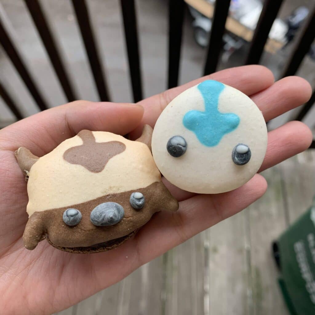 Holding an Appa macaron and Aang macaron in my hand. shot using my iPhone!