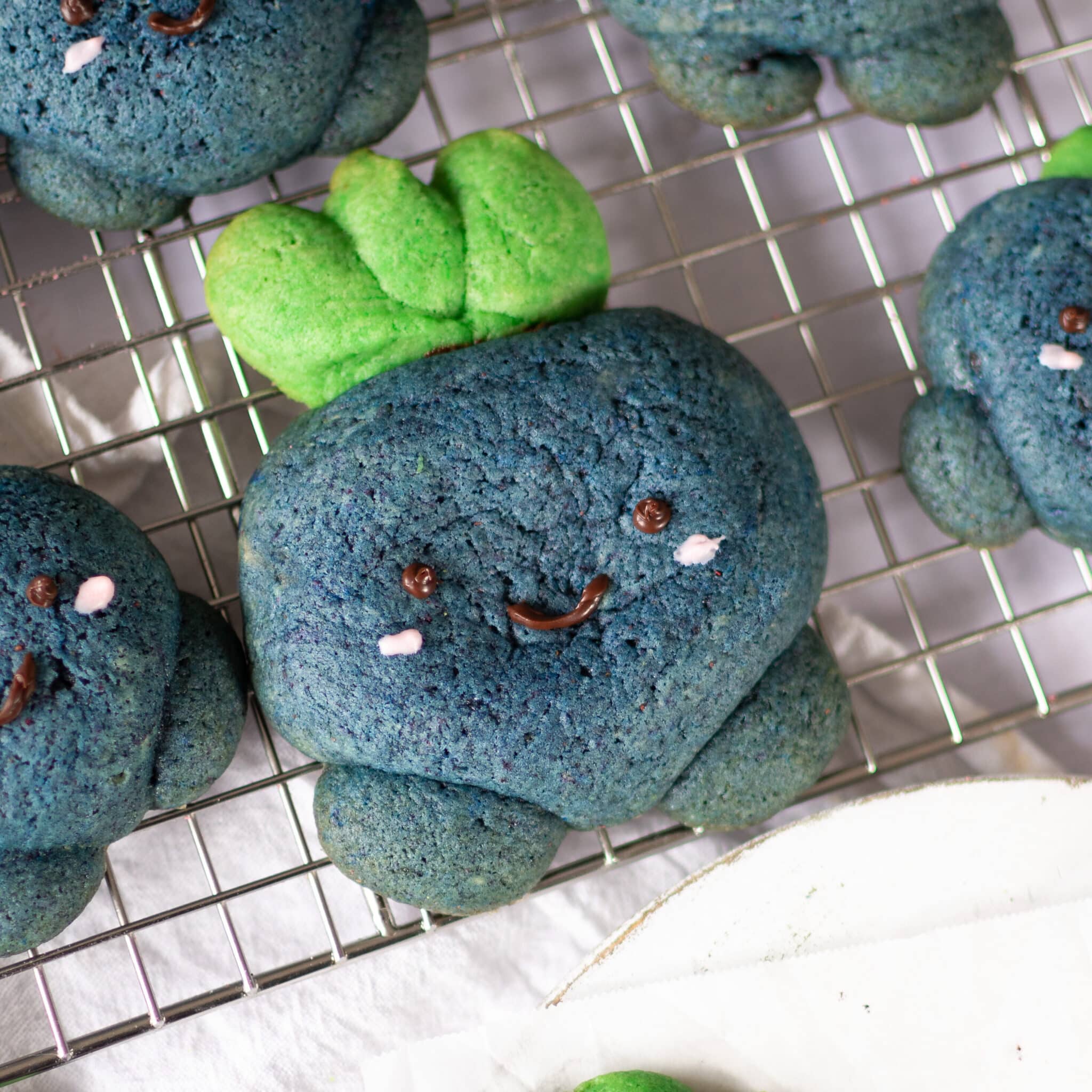 Huge blueberry oddish cookie on a wire rack