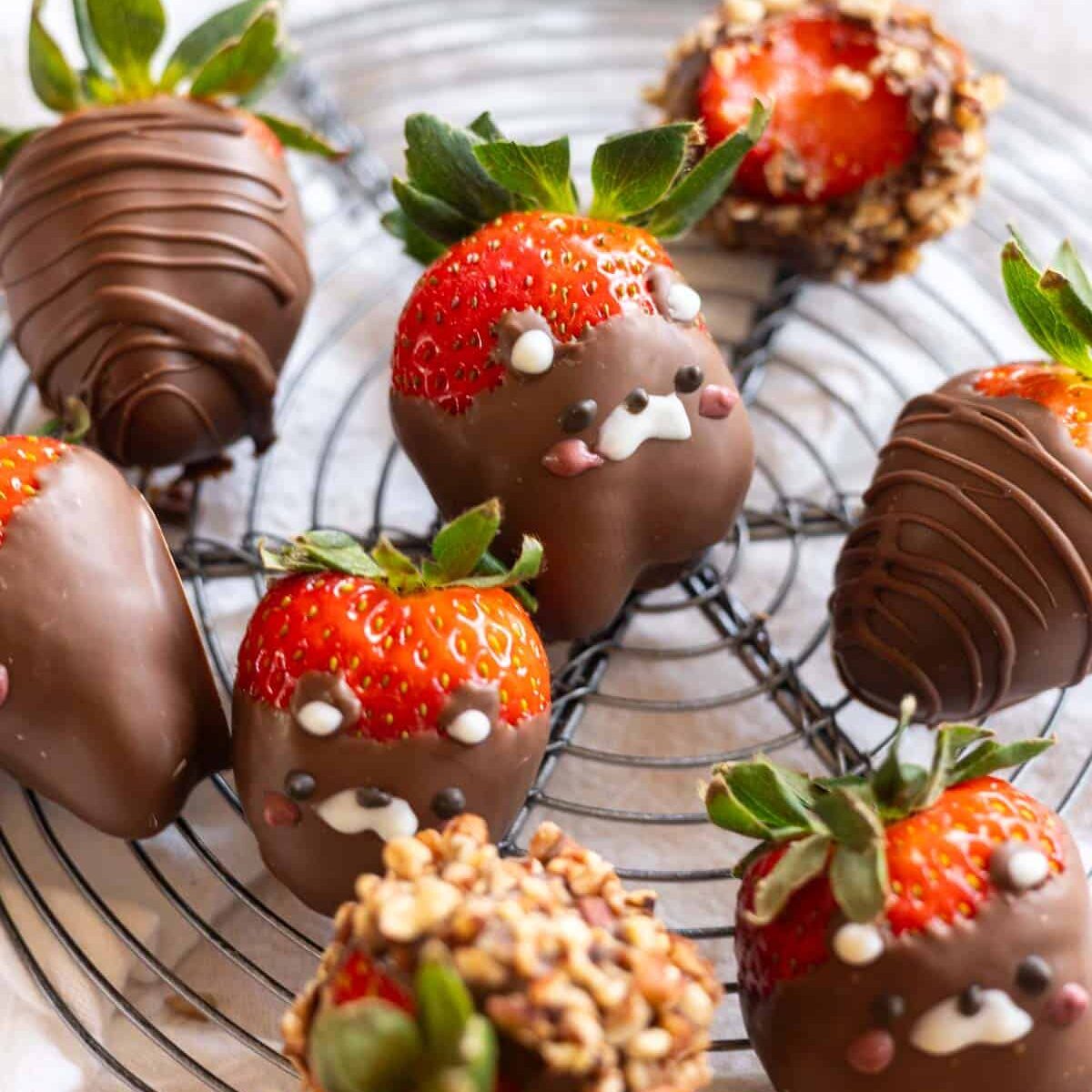 Bear chocolate covered strawberries