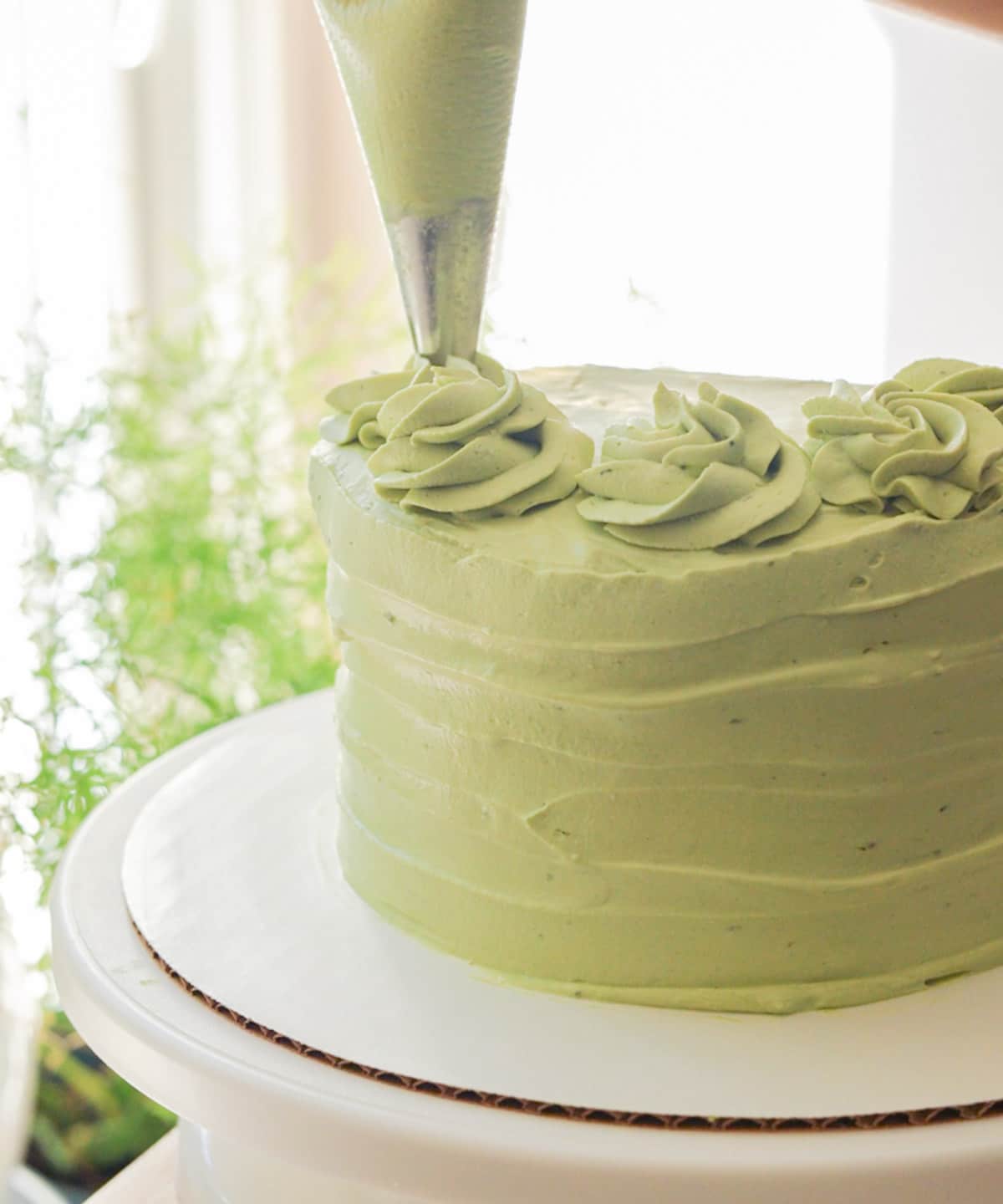 Piping on matcha whipped cream swirls on top of the matcha cake.