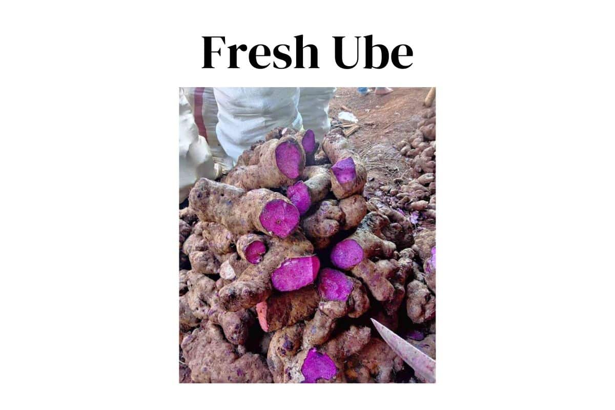 Fresh ube.