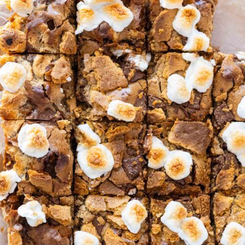 S'mores blondies lined up next to one another, cut into even squares.