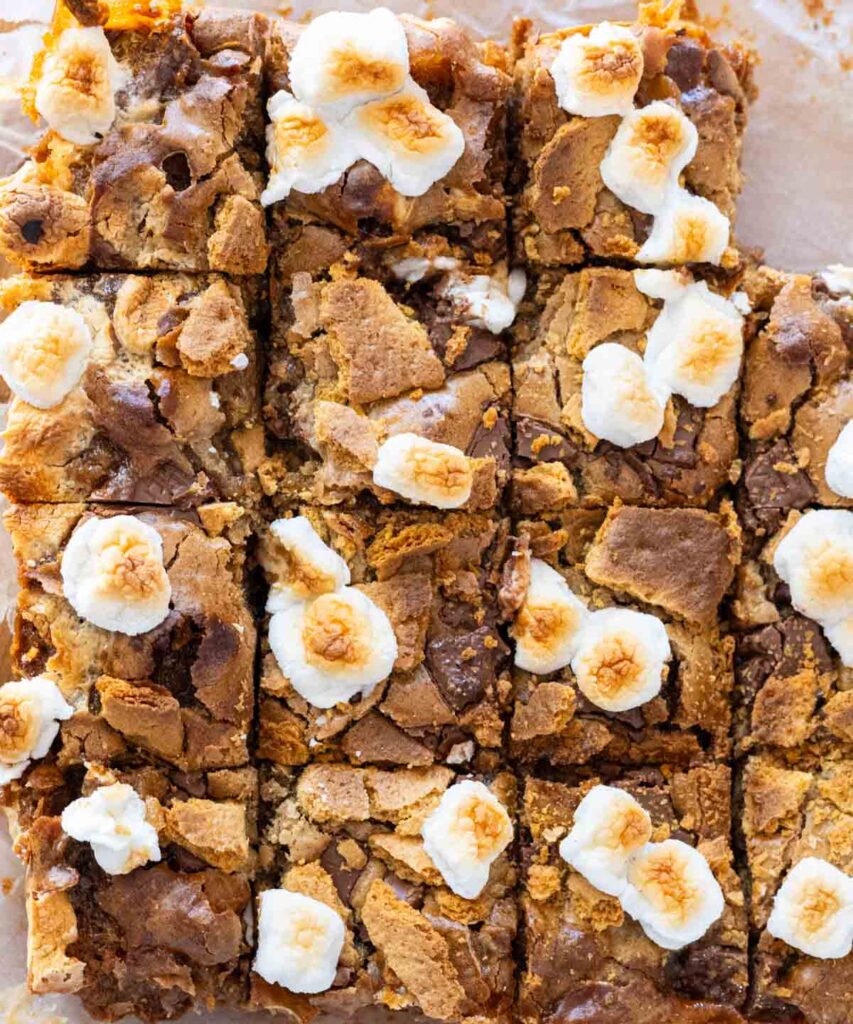 S'mores blondies lined up next to one another, cut into even squares.