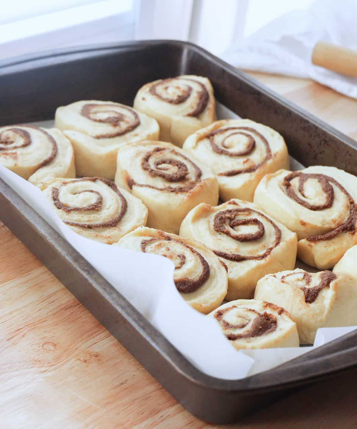 Cinnamon rolls in lined baking pan about to proof.