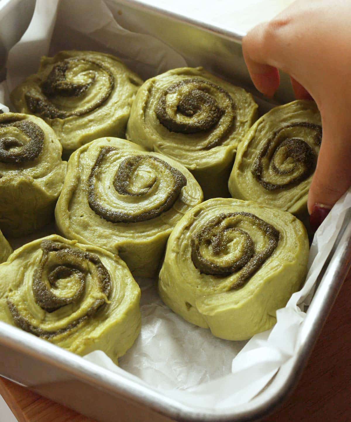 Brown sugar matcha rolls in lined baking pan about to proof.