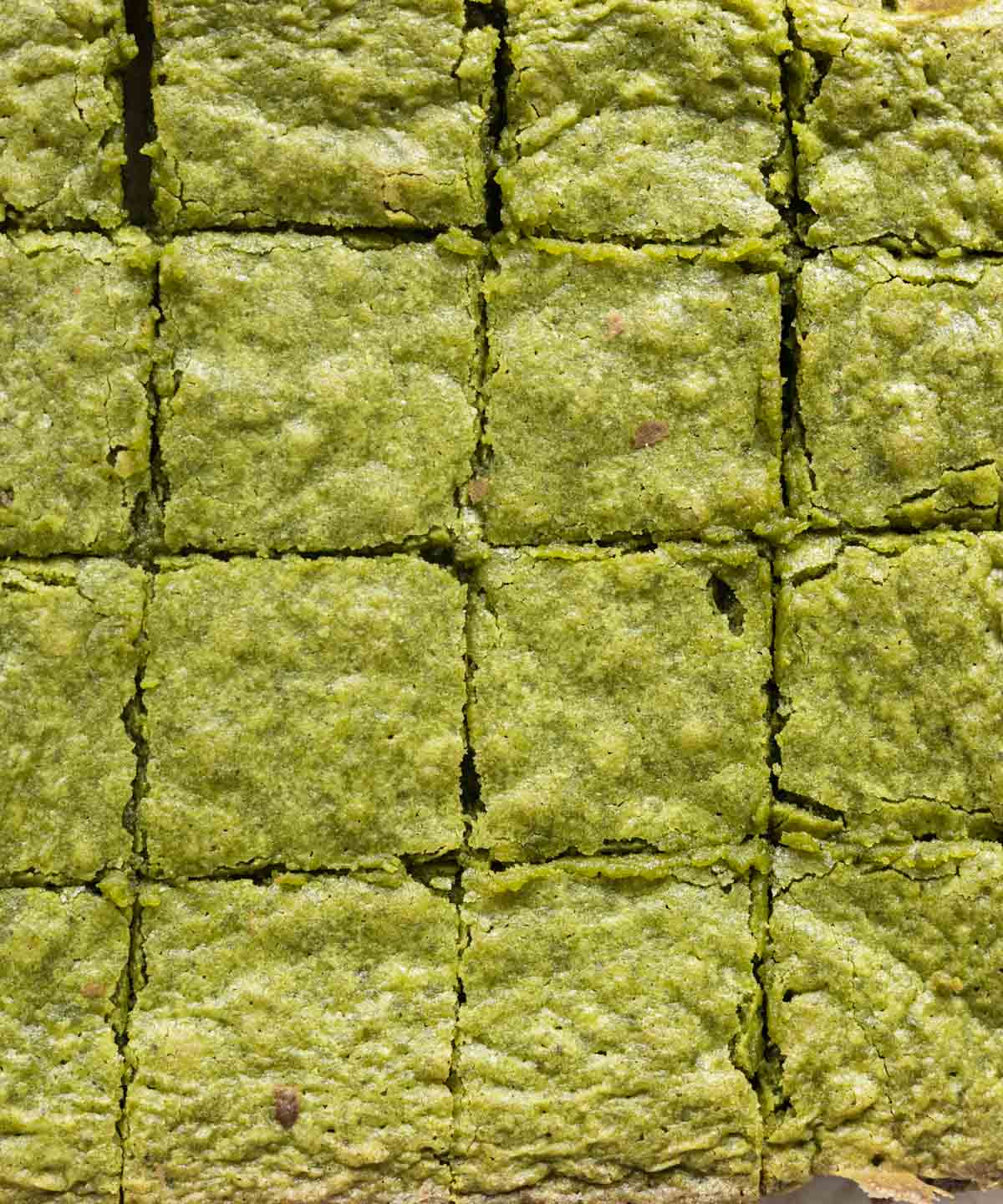 Matcha brownies cut into 16 squares.