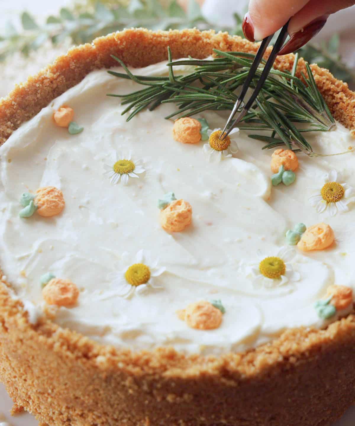 Decorating orange cheesecake with edible flowers.