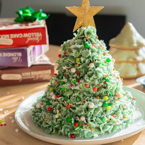 Christmas tree cake decorated with sprinkles.