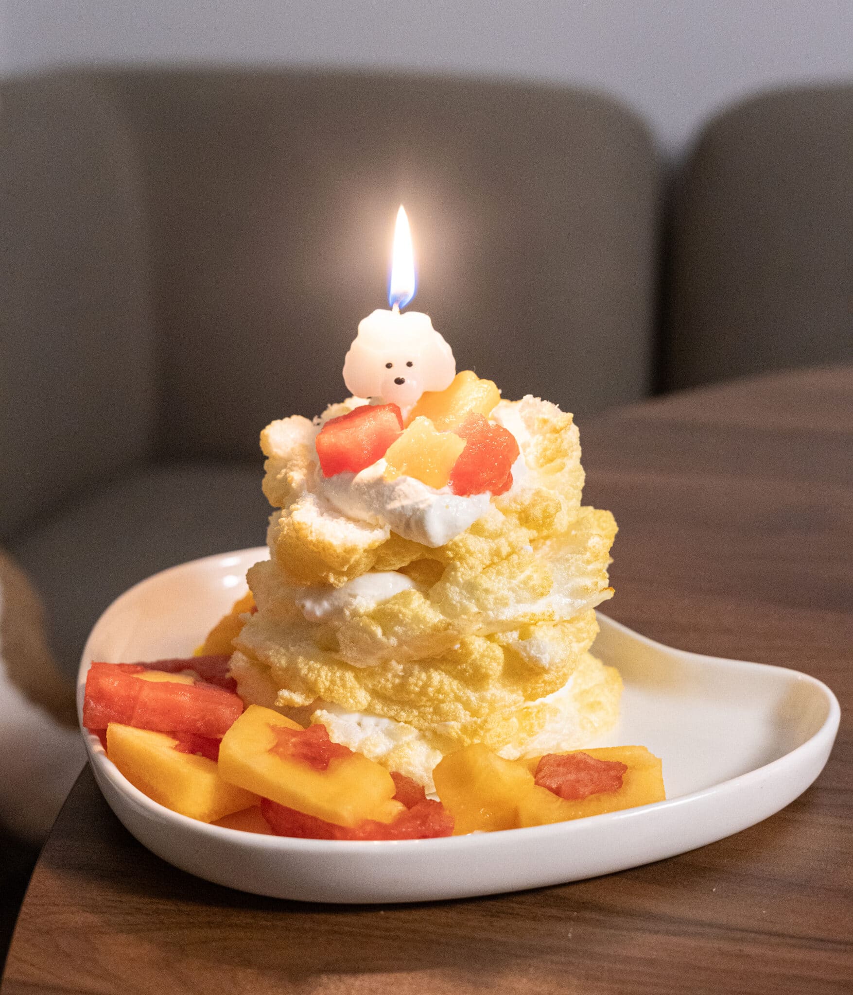 Assembled dog cake for my Miley girl.