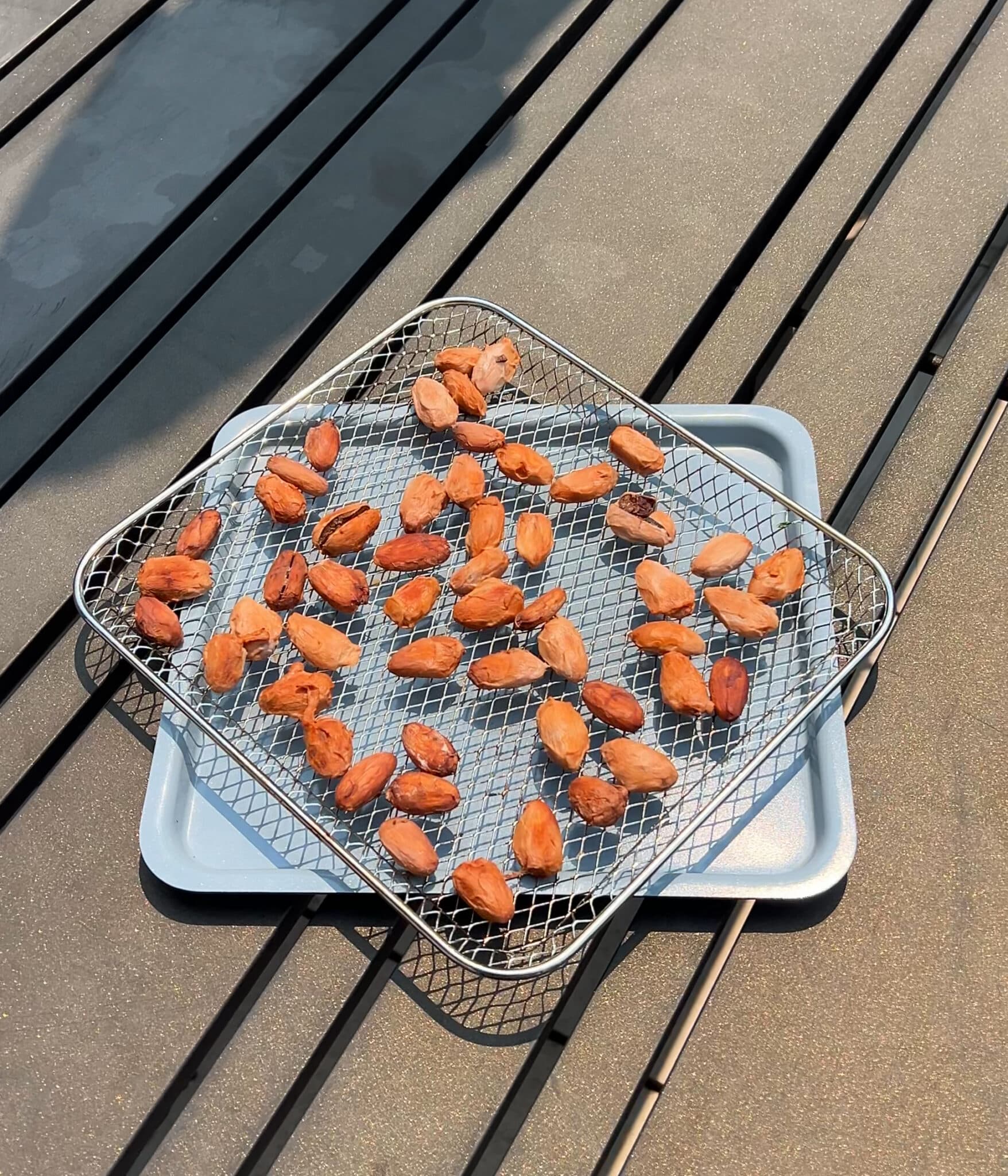 Sun drying cacao beans.