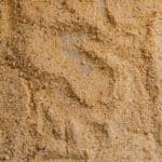 Toasted breadcrumbs spread out on a sheet pan.