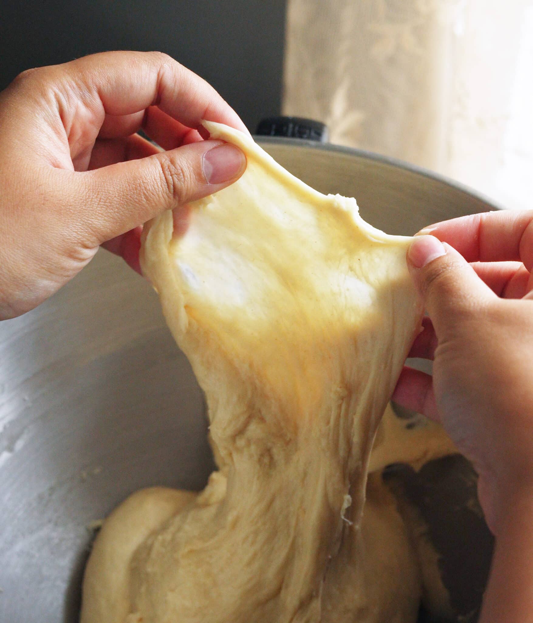 Spanish bread dough passing the windowpane test.
